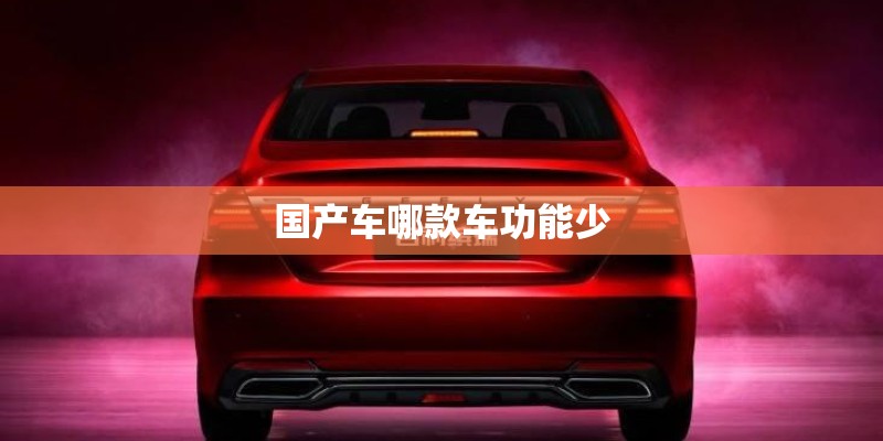 国产车哪款车功能少