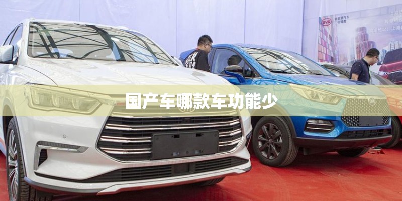 国产车哪款车功能少
