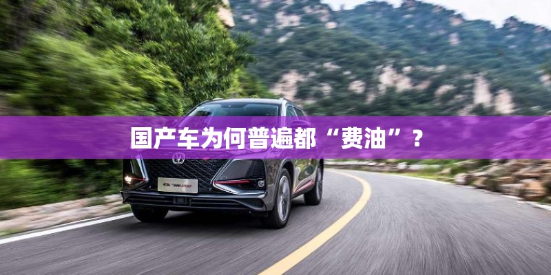 国产车为何普遍都“费油”? 国产车为何普遍都“费油”?