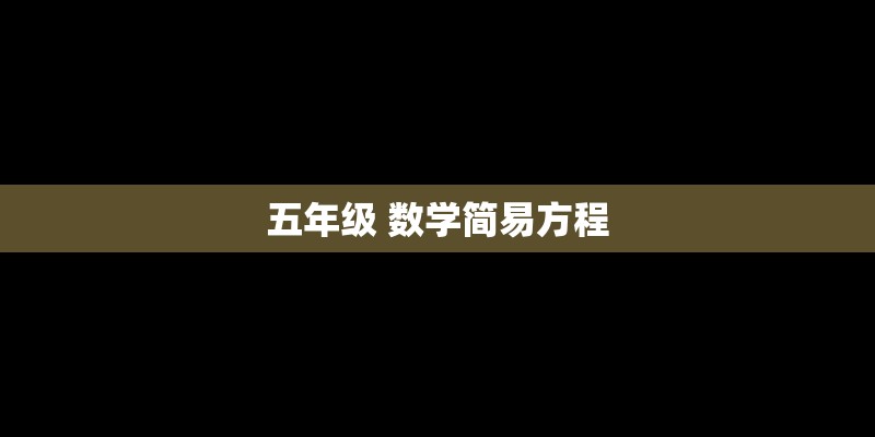 五年级 数学简易方程