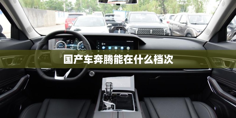 国产车奔腾能在什么档次