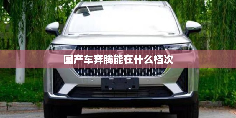 国产车奔腾能在什么档次
