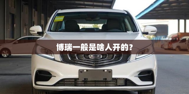 博瑞一般是啥人开的？