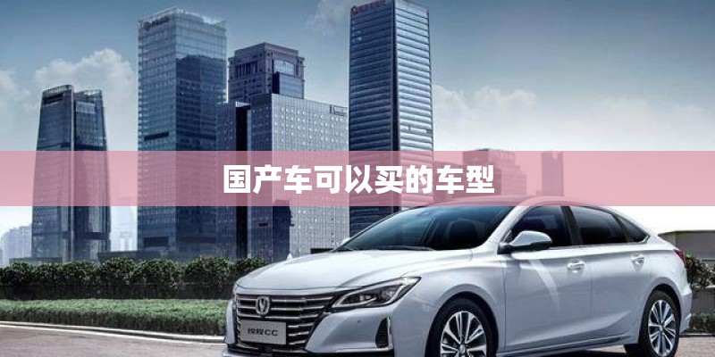 国产车可以买的车型