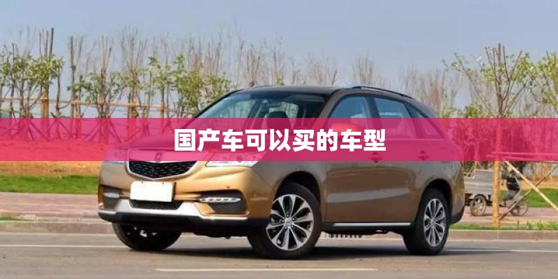 国产车可以买的车型