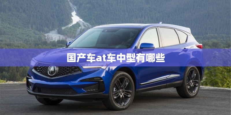 国产车at车中型有哪些 国产车at车中型有哪些