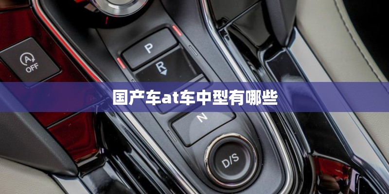国产车at车中型有哪些 国产车at车中型有哪些