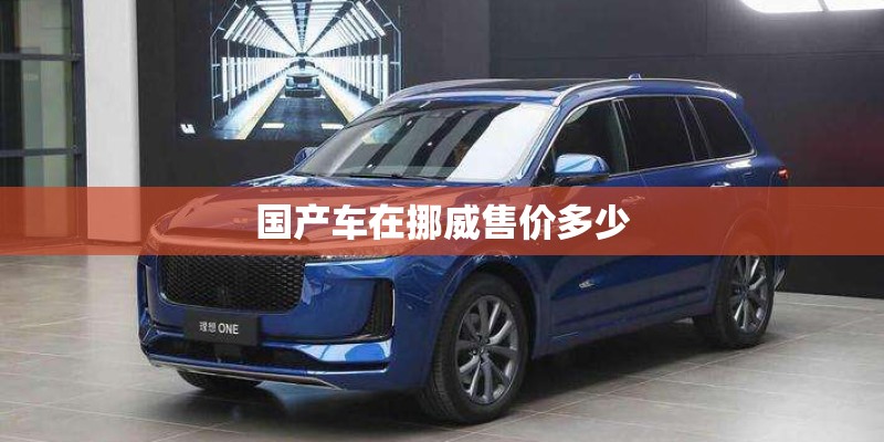 国产车在挪威售价多少