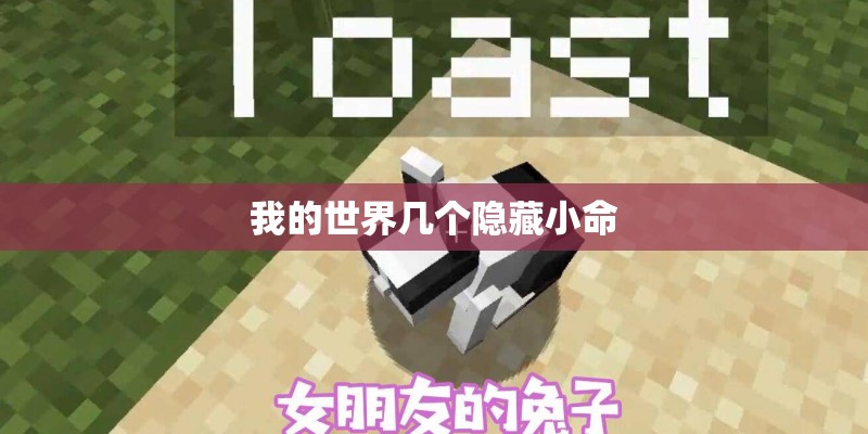 忆梦的成语？