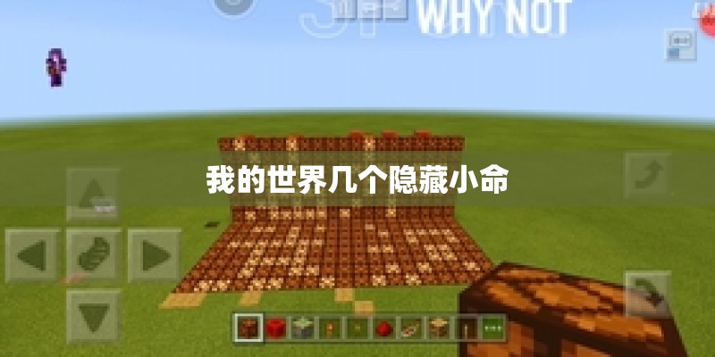 我的世界几个隐藏小命