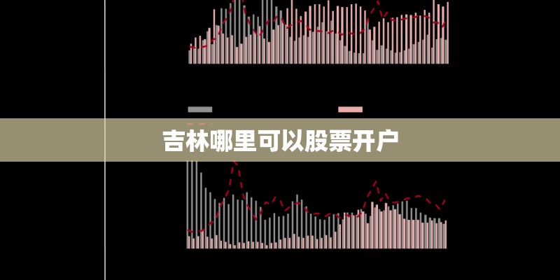 吉林哪里可以股票开户
