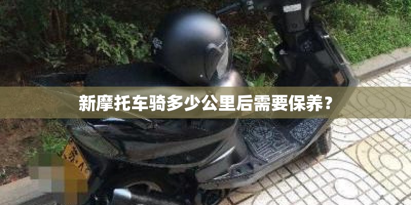 有哪些一看就想笑的冷笑话？