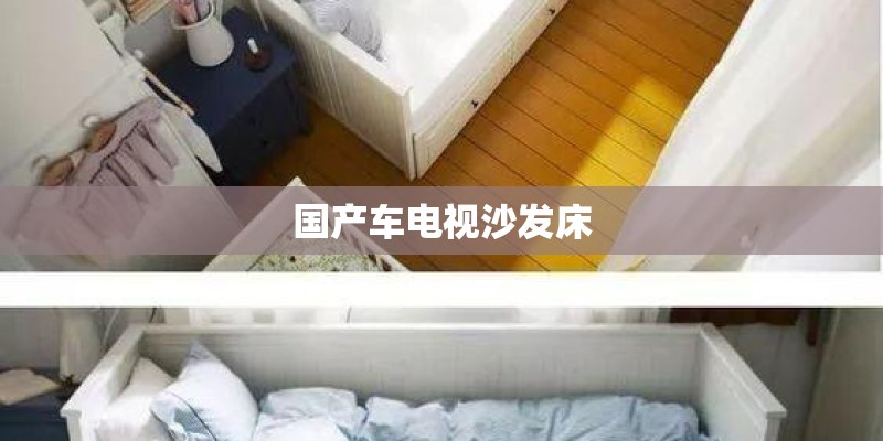 国产车电视沙发床 国产车电视沙发床