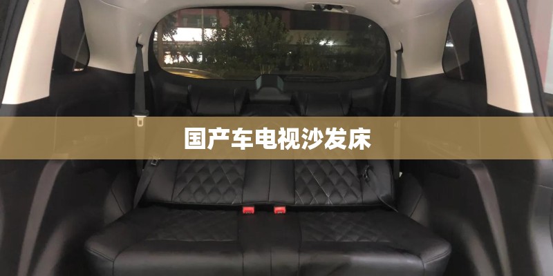 国产车电视沙发床 国产车电视沙发床