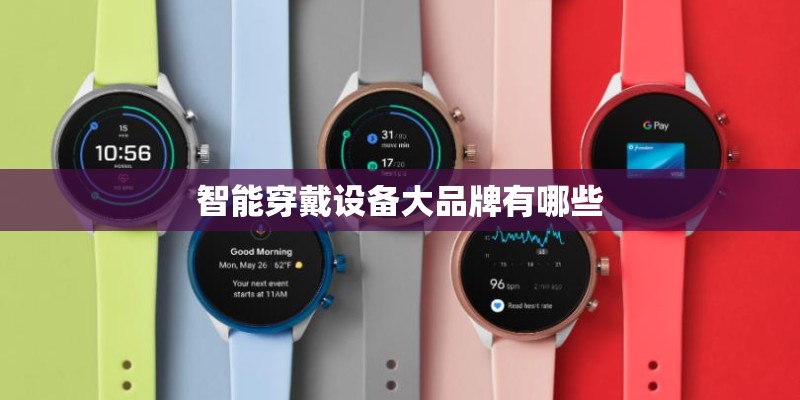 智能穿戴设备大品牌有哪些 智能穿戴设备大品牌有哪些