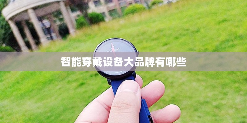 智能穿戴设备大品牌有哪些 智能穿戴设备大品牌有哪些