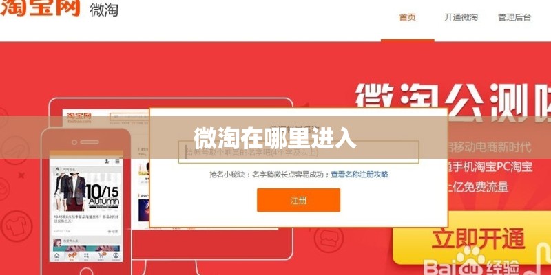 微淘在哪里进入