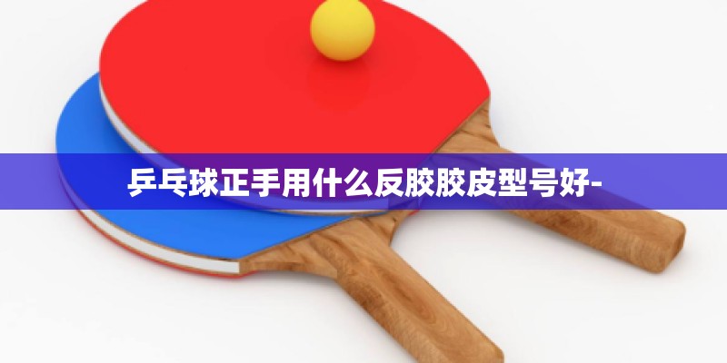 乒乓球正手用什么反胶胶皮型号好-