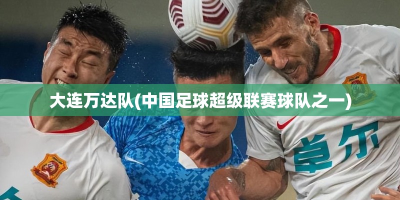国产车在挪威售价多少