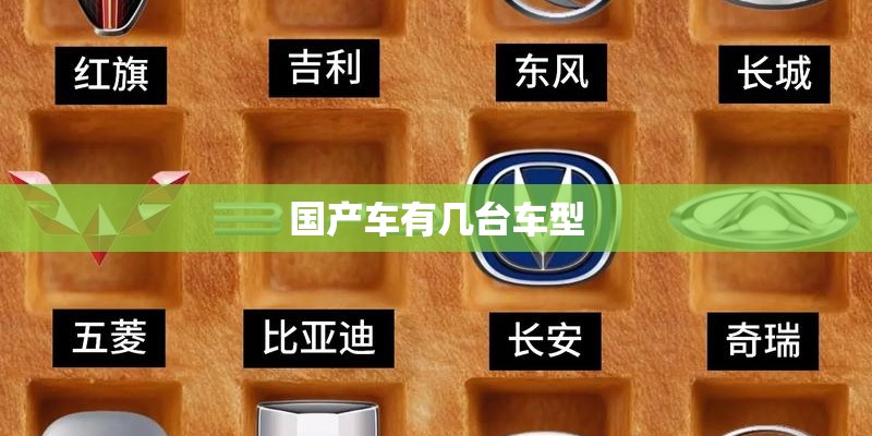 国产车有几台车型