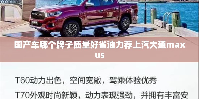 国产车哪个牌子质量好省油力荐上汽大通maxus