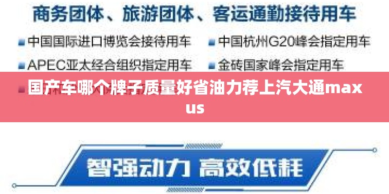 国产车哪个牌子质量好省油力荐上汽大通maxus
