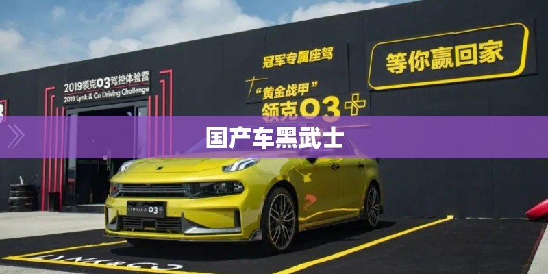 乒乓球正手用什么反胶胶皮型号好-