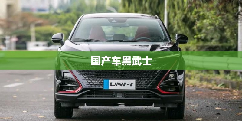 国产车黑武士