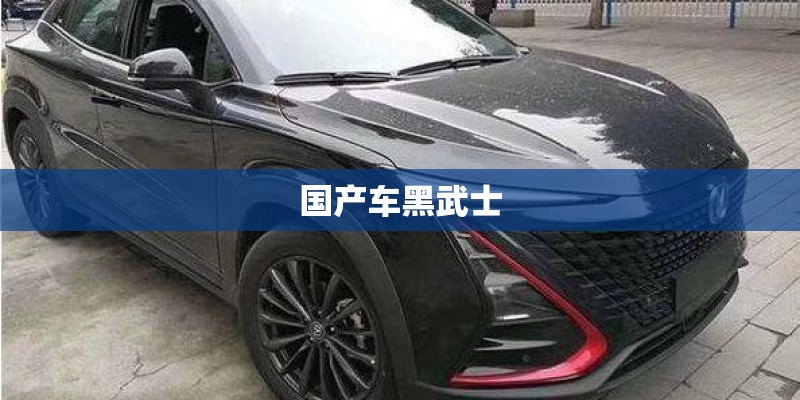 国产车黑武士