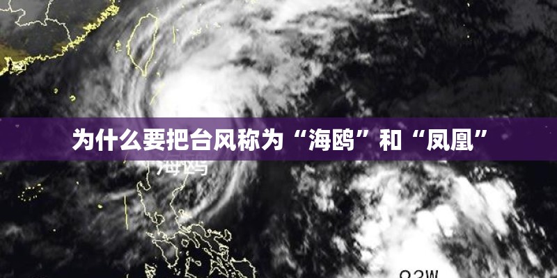 为什么要把台风称为“海鸥”和“凤凰” 为什么要把台风称为“海鸥”和“凤凰”