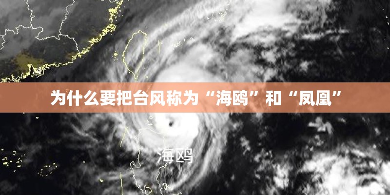为什么要把台风称为“海鸥”和“凤凰” 为什么要把台风称为“海鸥”和“凤凰”