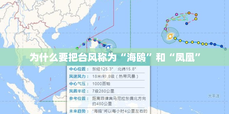 为什么要把台风称为“海鸥”和“凤凰” 为什么要把台风称为“海鸥”和“凤凰”