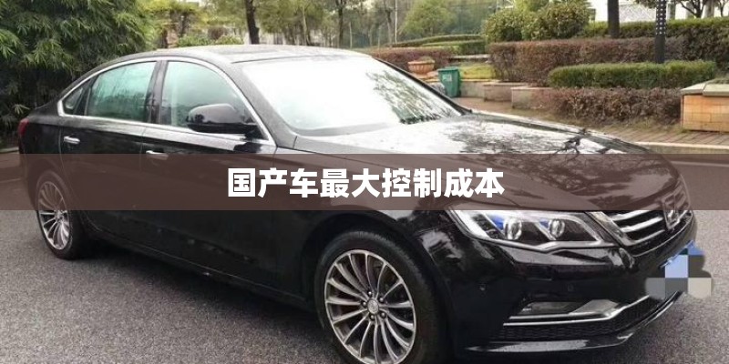 国产车最大控制成本