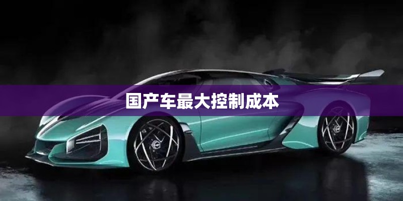 国产车最大控制成本
