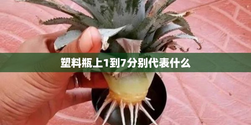 塑料瓶上1到7分别代表什么 塑料瓶上1到7分别代表什么