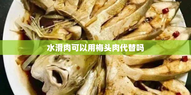 水滑肉可以用梅头肉代替吗