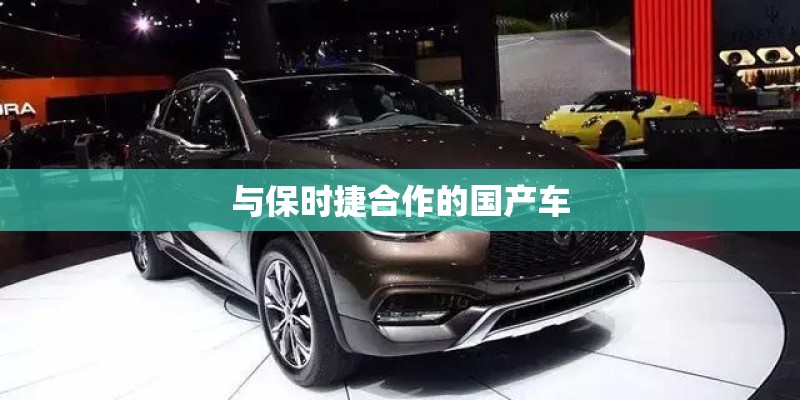 与保时捷合作的国产车 与保时捷合作的国产车