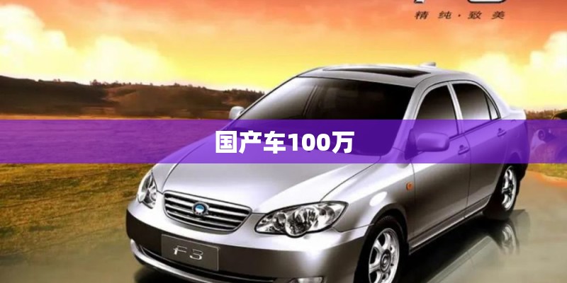 国产车100万