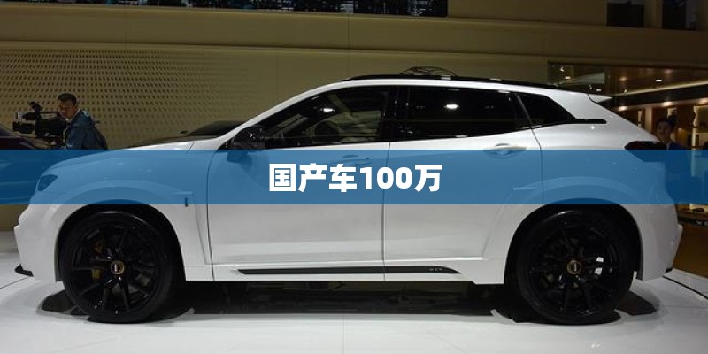 国产车100万