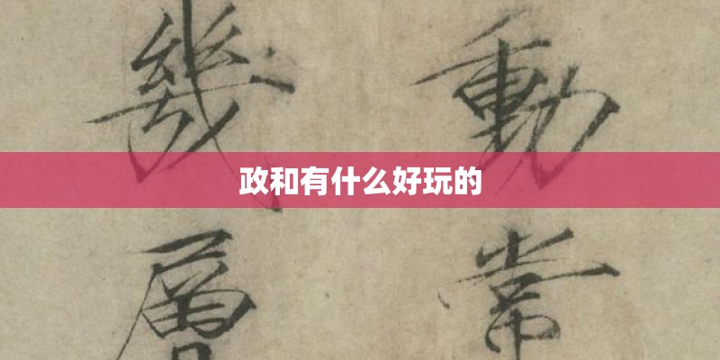 与保时捷合作的国产车