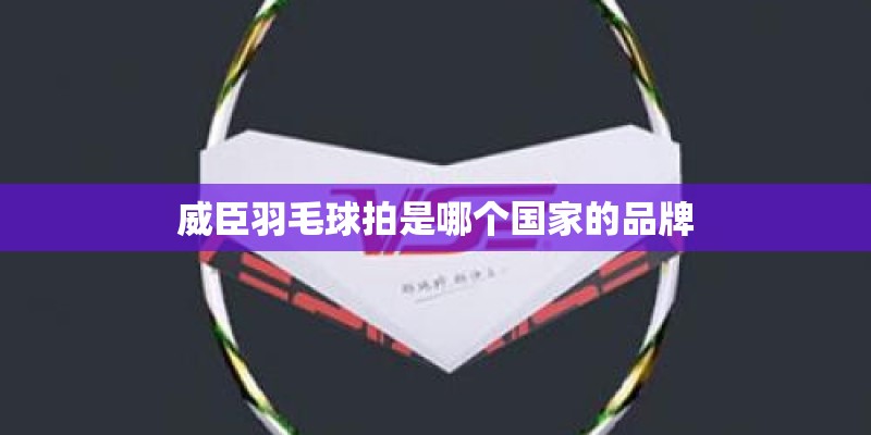 威臣羽毛球拍是哪个国家的品牌 威臣羽毛球拍是哪个国家的品牌