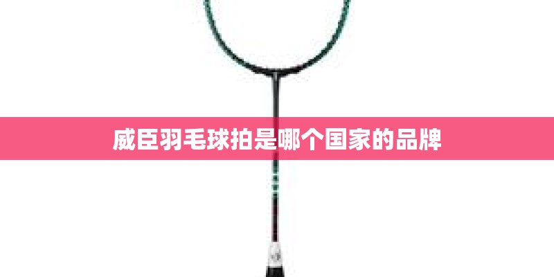 威臣羽毛球拍是哪个国家的品牌 威臣羽毛球拍是哪个国家的品牌