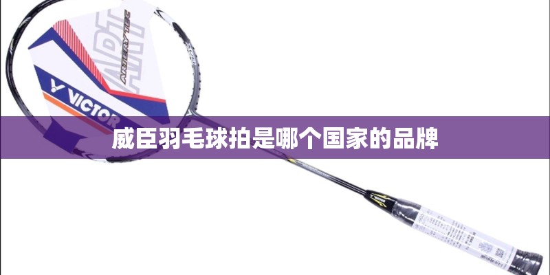 威臣羽毛球拍是哪个国家的品牌 威臣羽毛球拍是哪个国家的品牌