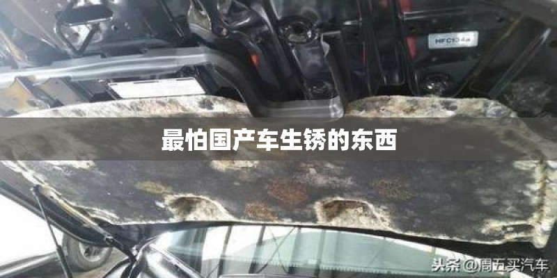 最怕国产车生锈的东西 最怕国产车生锈的东西