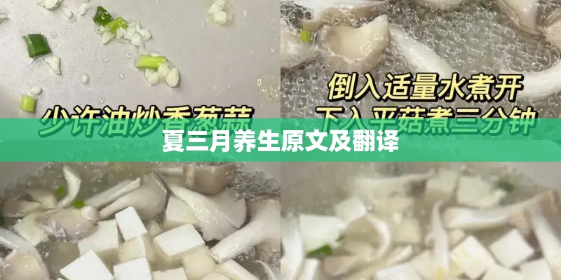 为什么我在手机steam里登录不上呢？