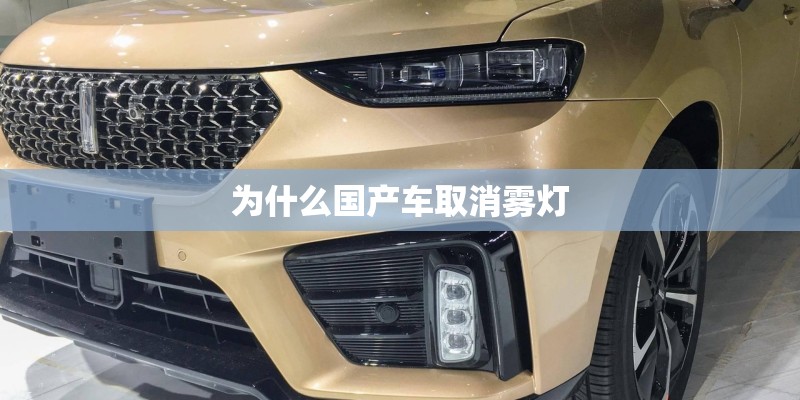为什么国产车取消雾灯 为什么国产车取消雾灯