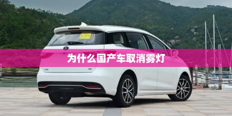 为什么国产车取消雾灯 为什么国产车取消雾灯