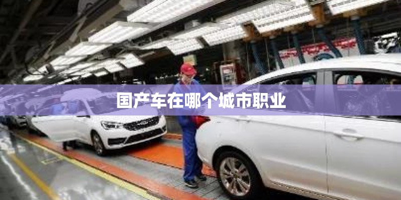 国产车在哪个城市职业 国产车在哪个城市职业