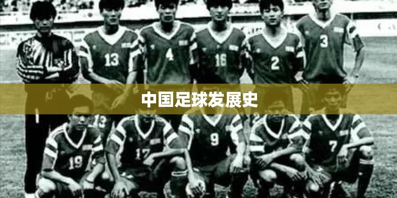 国产车在哪个城市职业