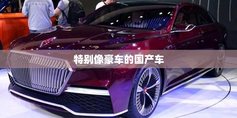 特别像豪车的国产车 特别像豪车的国产车
